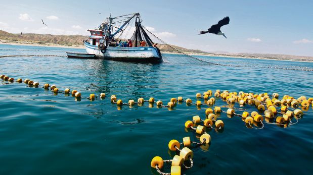 ¿Qué sanciona el delito de extracción ilegal de especies acuáticas?