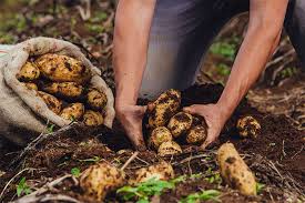 ¿Sustraer un bien para cobrar una deuda configura delito de hurto?